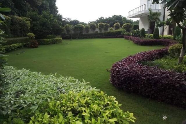 Chhattarpur, Delhi